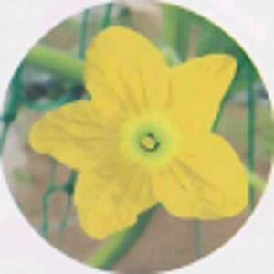 Meet your Posher, Beau